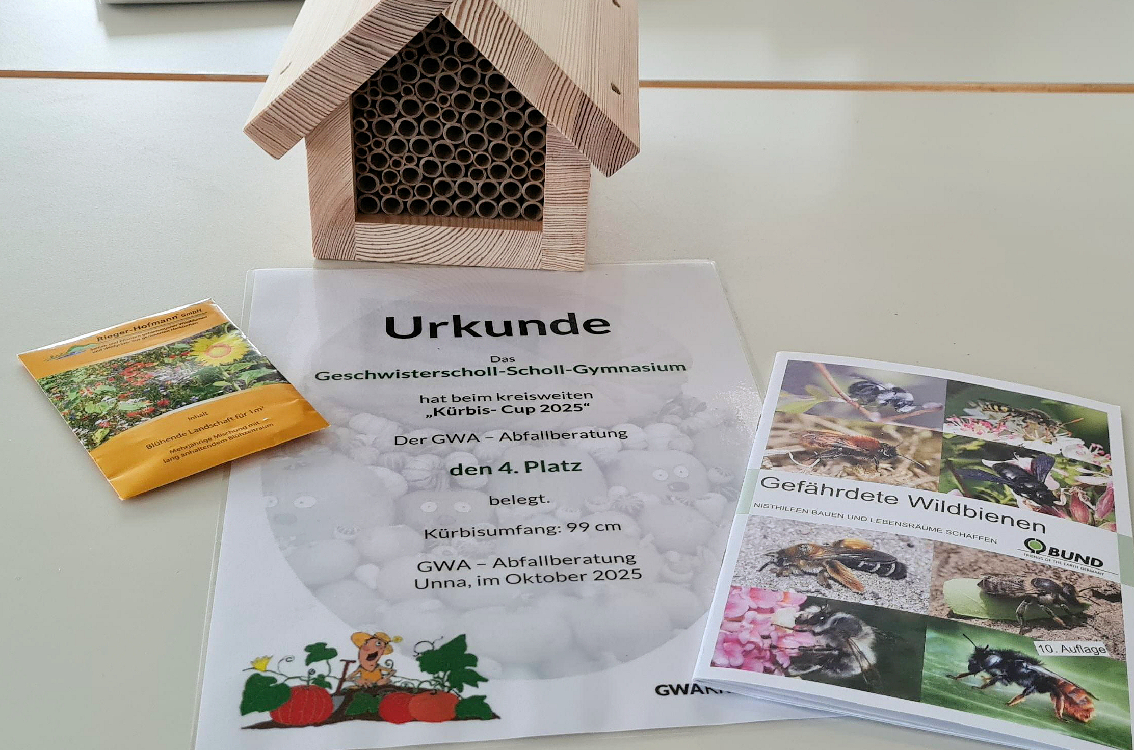 2025 schugaagkuebi 002 xxx